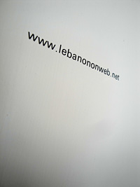Grading the Lebanese Constitution